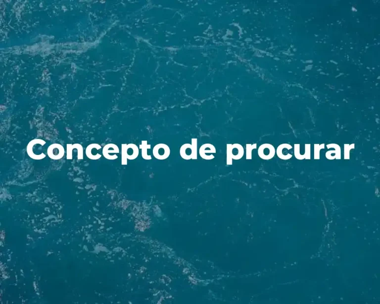 Concepto de procurar
