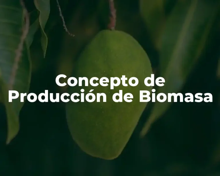 Concepto de Producción de Biomasa
