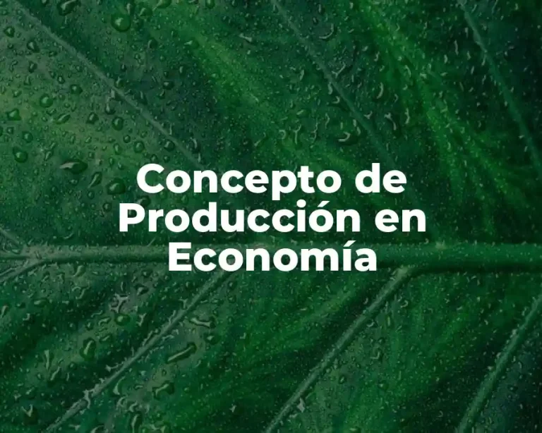 Concepto de Producción en Economía