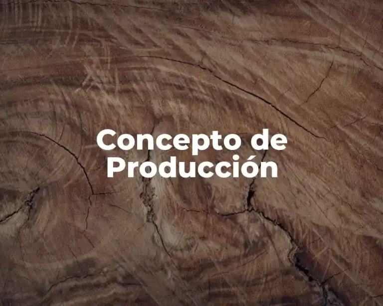 Concepto de Producción