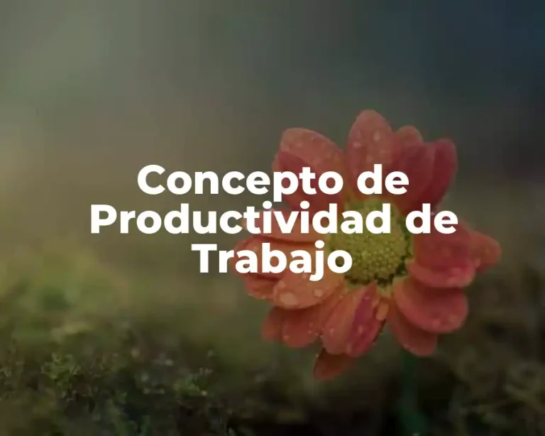 Concepto de Productividad de Trabajo