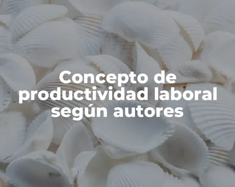 Concepto de productividad laboral según autores