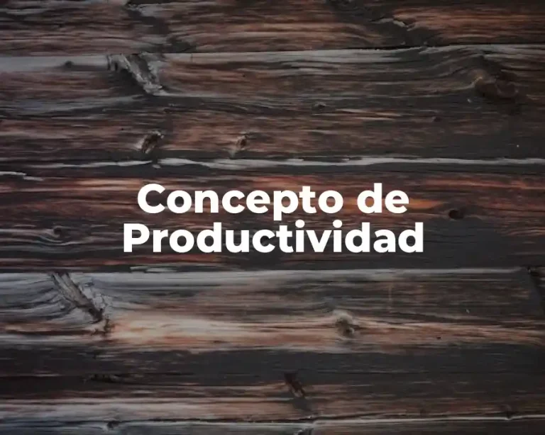 Concepto de Productividad