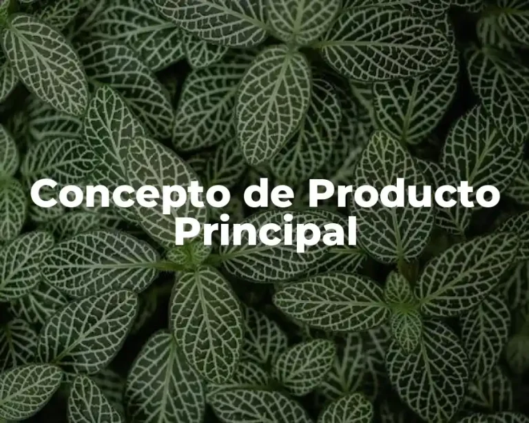Concepto de Producto Principal