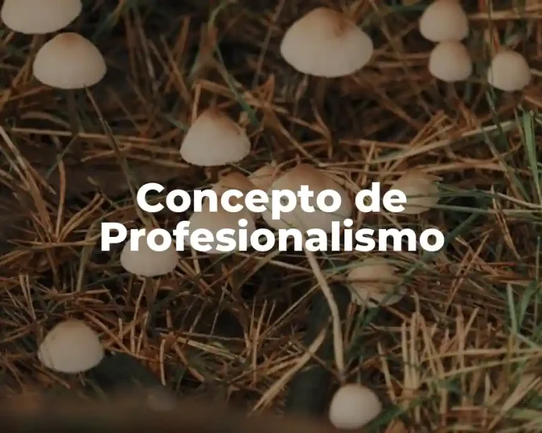Concepto de Profesionalismo