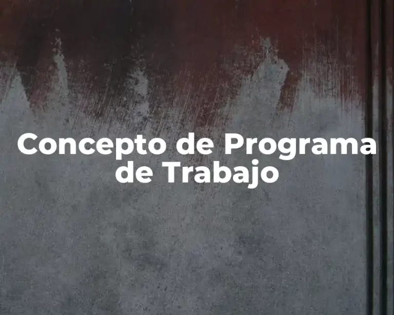 Concepto de Programa de Trabajo
