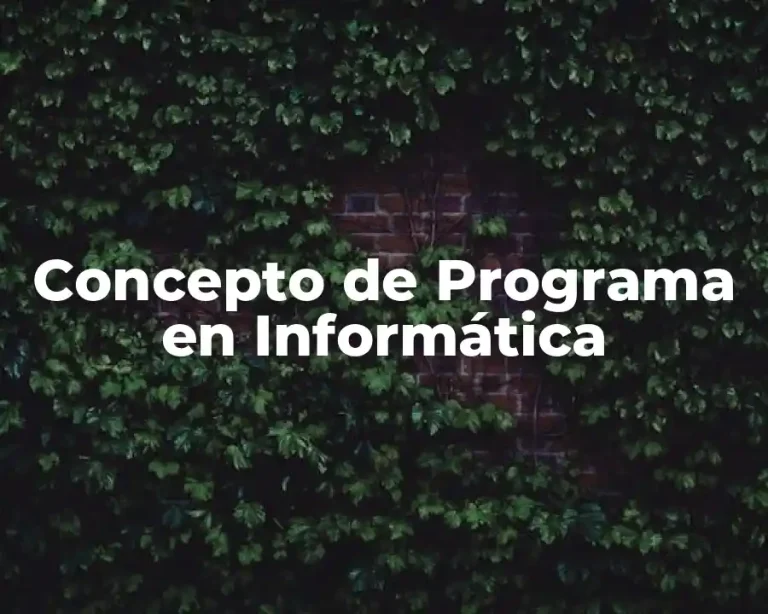 Concepto de Programa en Informática