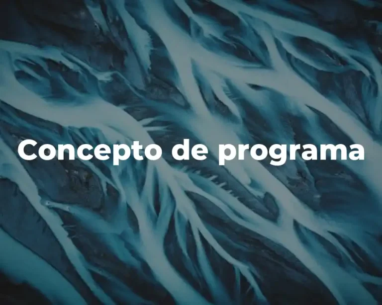 Concepto de programa