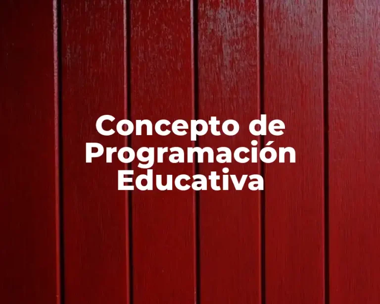 Concepto de Programación Educativa