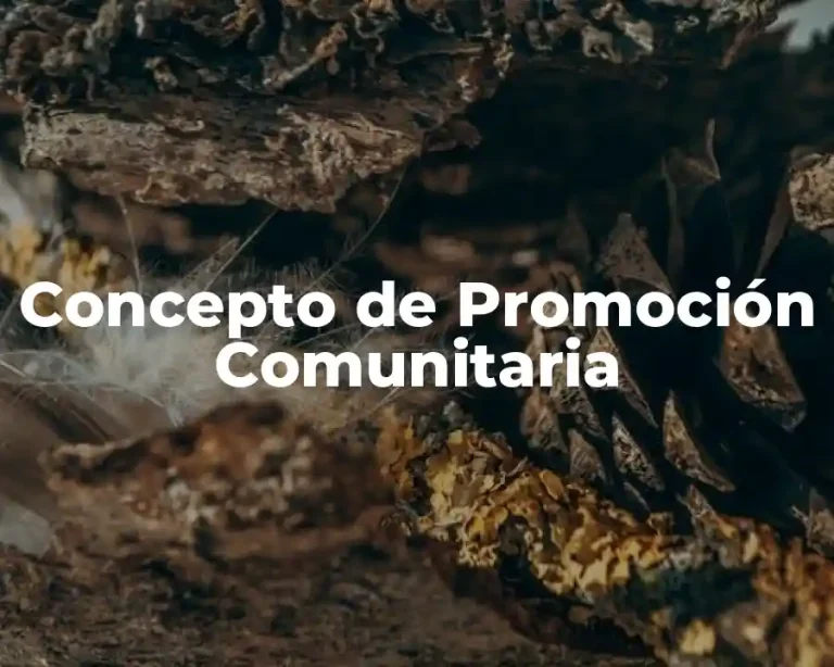 Concepto de Promoción Comunitaria