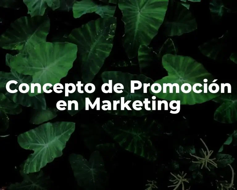Concepto de Promoción en Marketing
