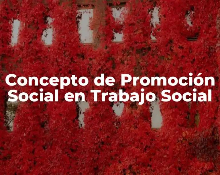 Concepto de Promoción Social en Trabajo Social