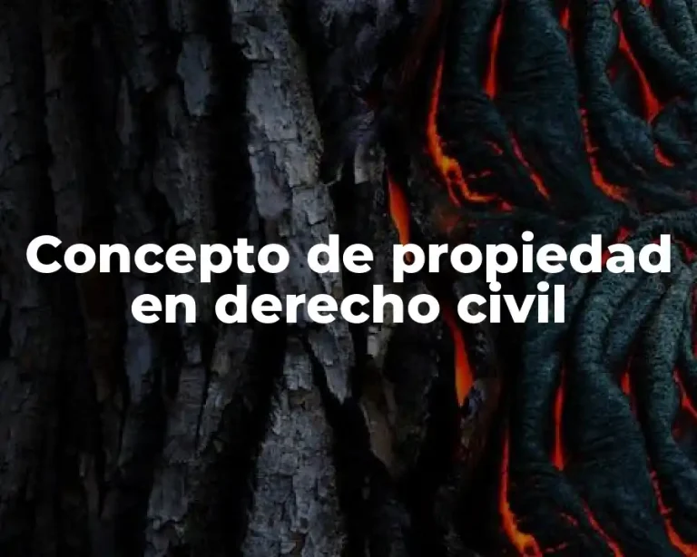 Concepto de propiedad en derecho civil