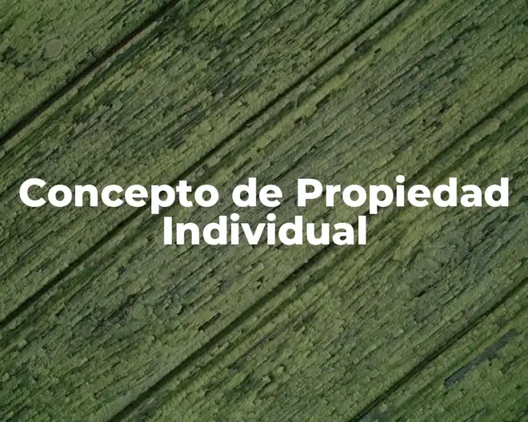Concepto de Propiedad Individual