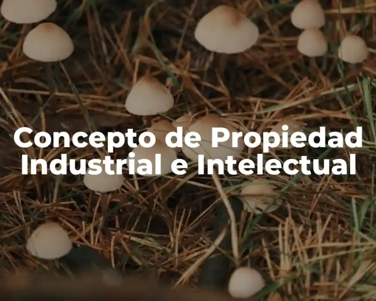 Concepto de Propiedad Industrial e Intelectual