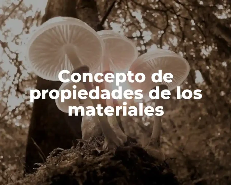 Concepto de propiedades de los materiales