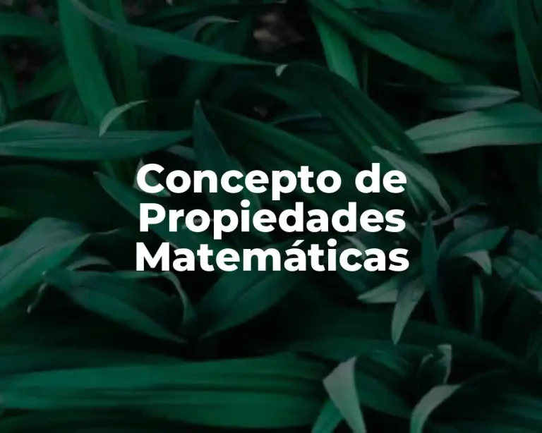Concepto de Propiedades Matemáticas