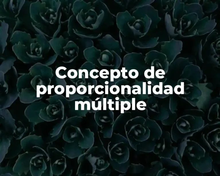 Concepto de proporcionalidad múltiple