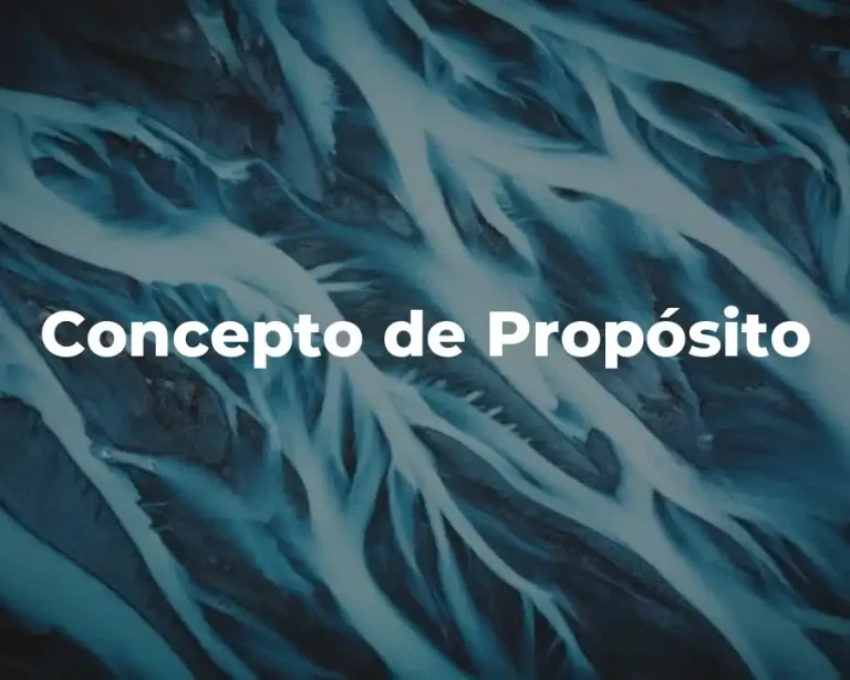 Concepto de Propósito