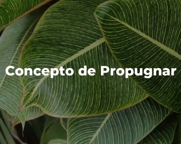 Concepto de Propugnar