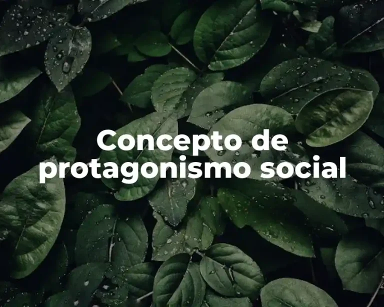 Concepto de protagonismo social