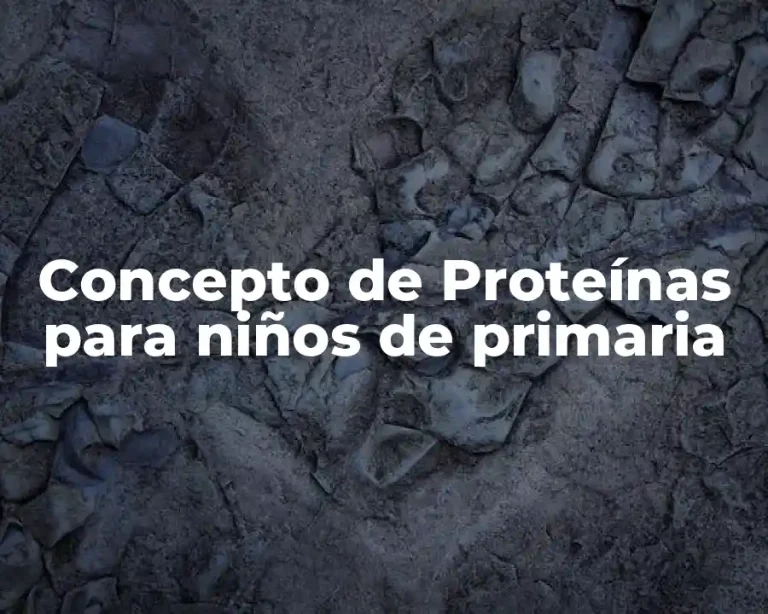 Concepto de Proteínas para niños de primaria