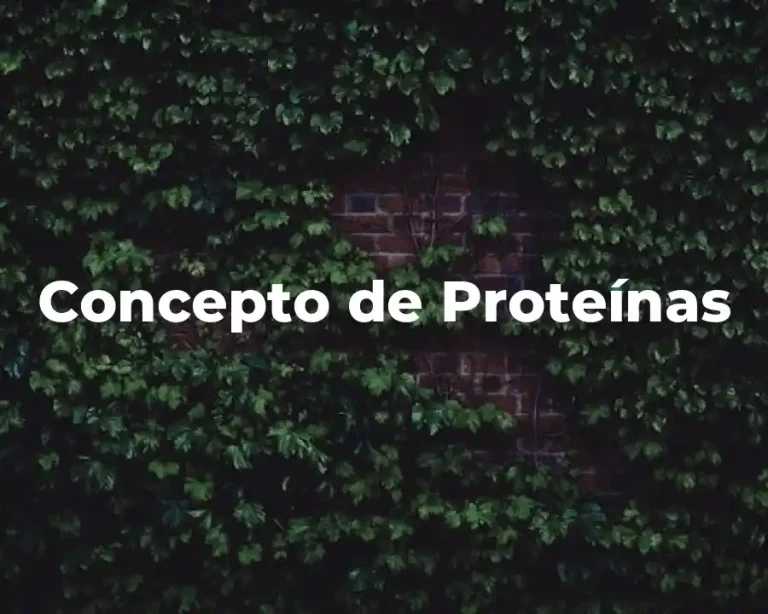 Concepto de Proteínas