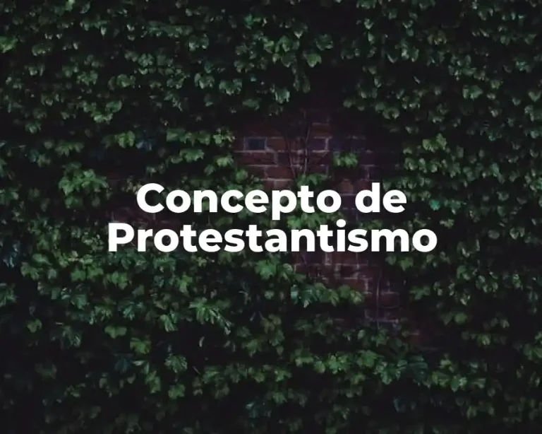 Concepto de Protestantismo