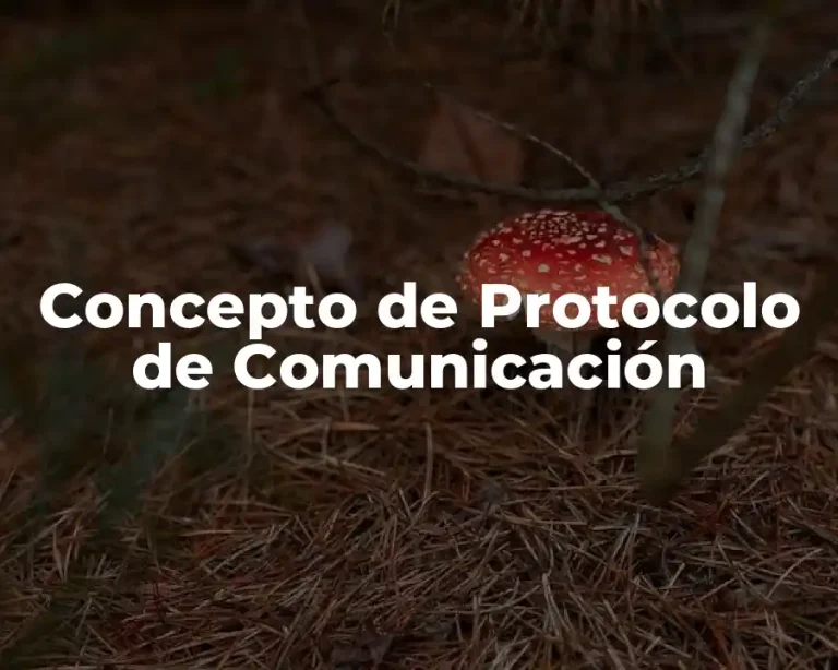 Concepto de Protocolo de Comunicación
