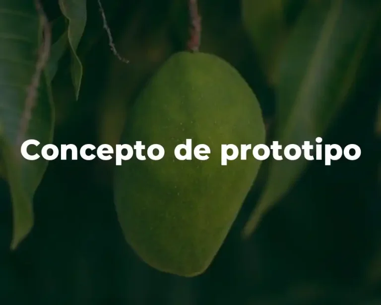 Concepto de prototipo