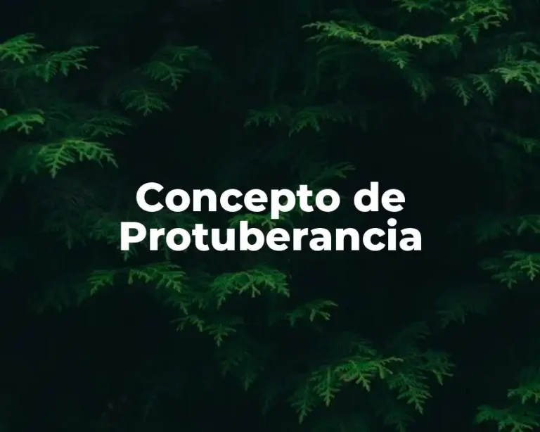 Concepto de Protuberancia