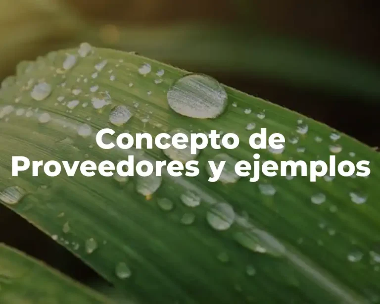 Concepto de Proveedores y ejemplos