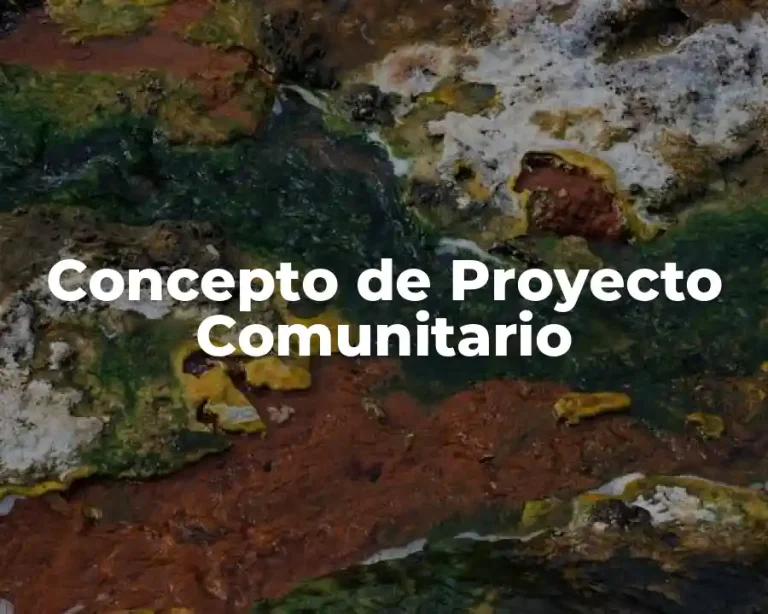 Concepto de Proyecto Comunitario