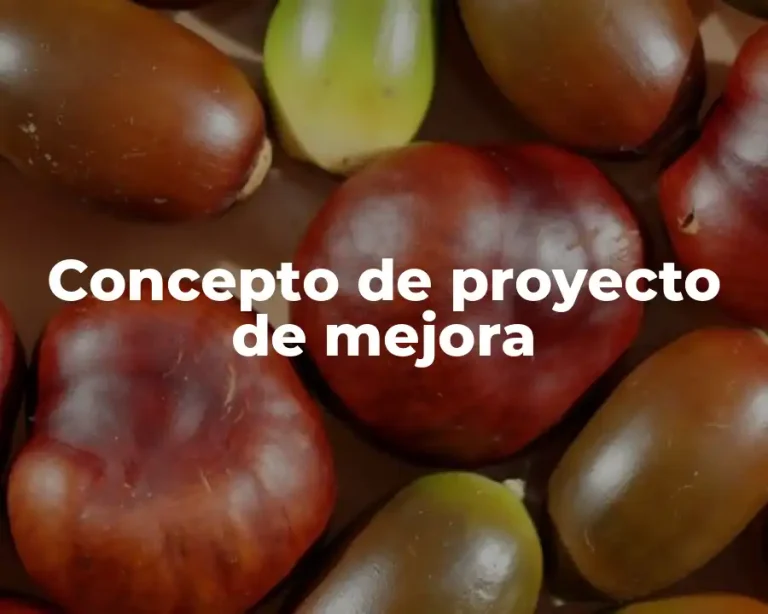 Concepto de proyecto de mejora