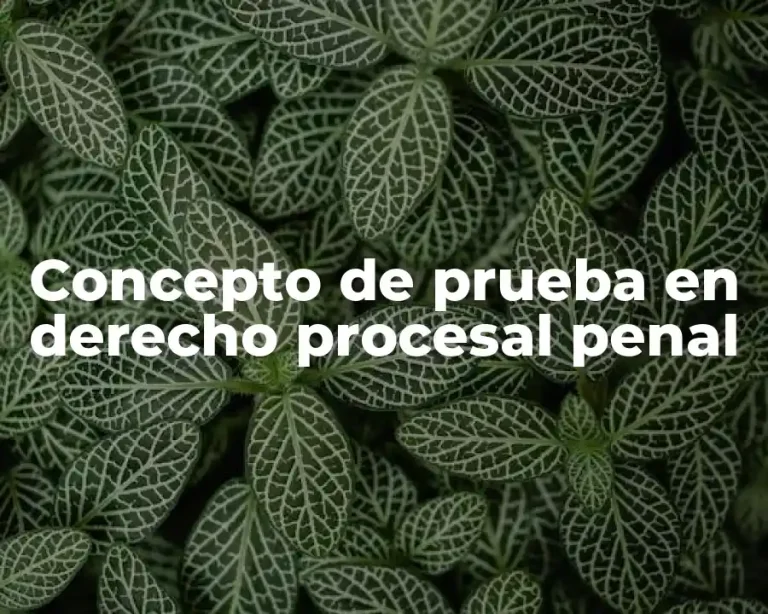 Concepto de prueba en derecho procesal penal