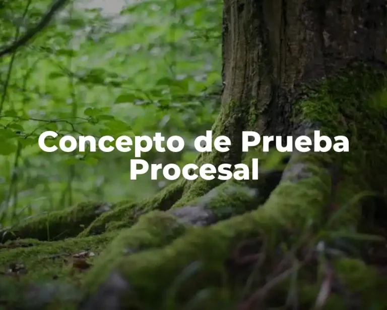 Concepto de Prueba Procesal