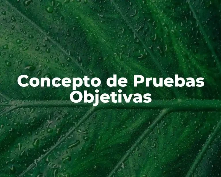 Concepto de Pruebas Objetivas