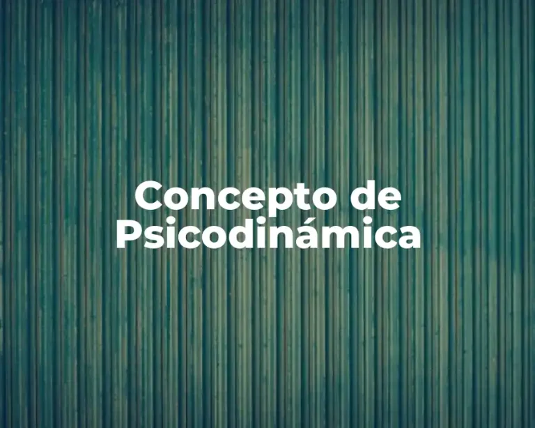Concepto de Psicodinámica