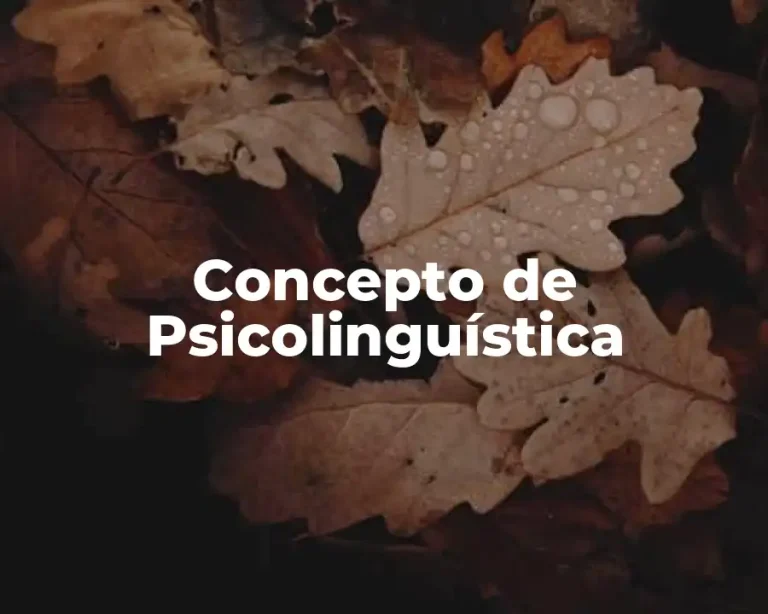 Concepto de Psicolinguística