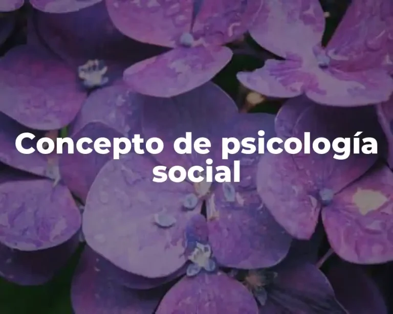 Concepto de psicología social