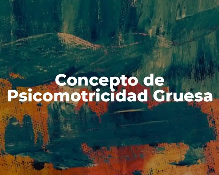 Concepto de Psicomotricidad Gruesa