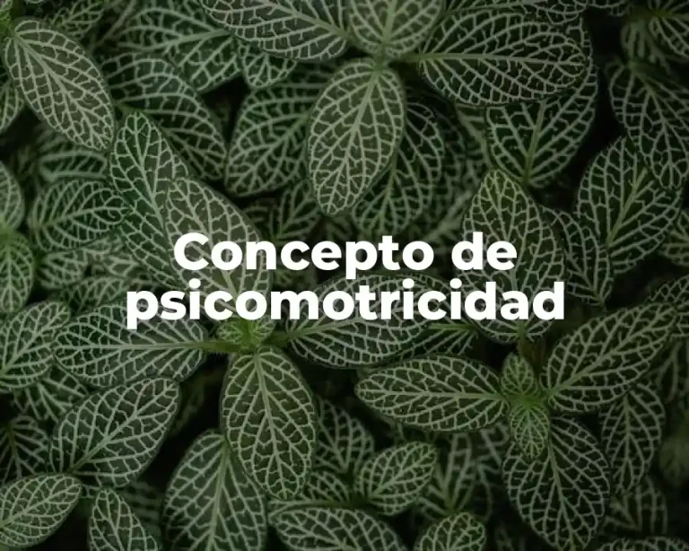 Concepto de psicomotricidad