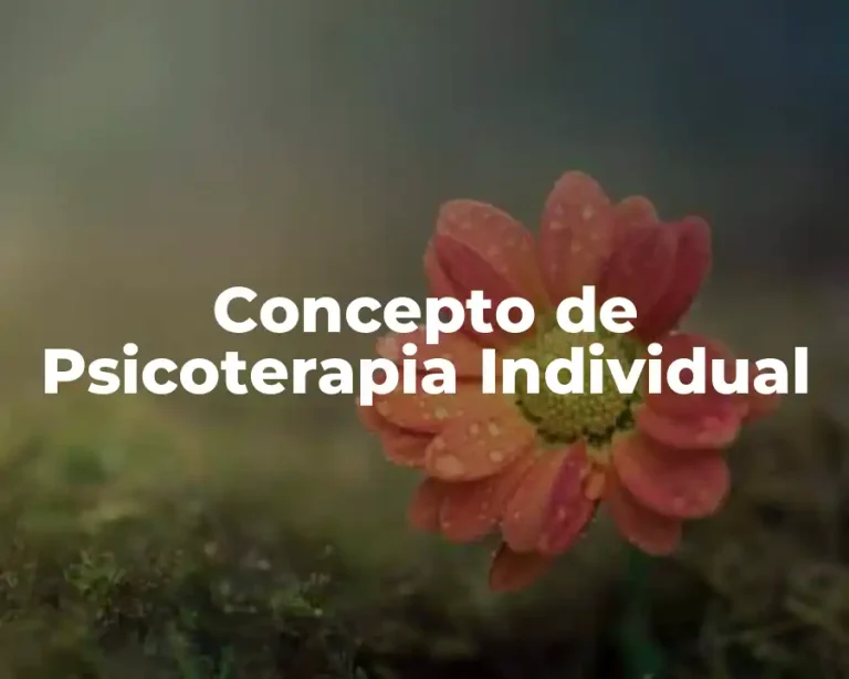 Concepto de Psicoterapia Individual