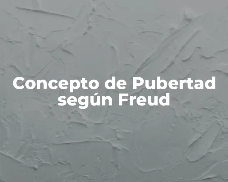 Concepto de Pubertad según Freud