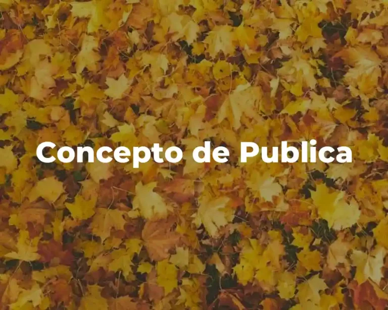 Concepto de Publica