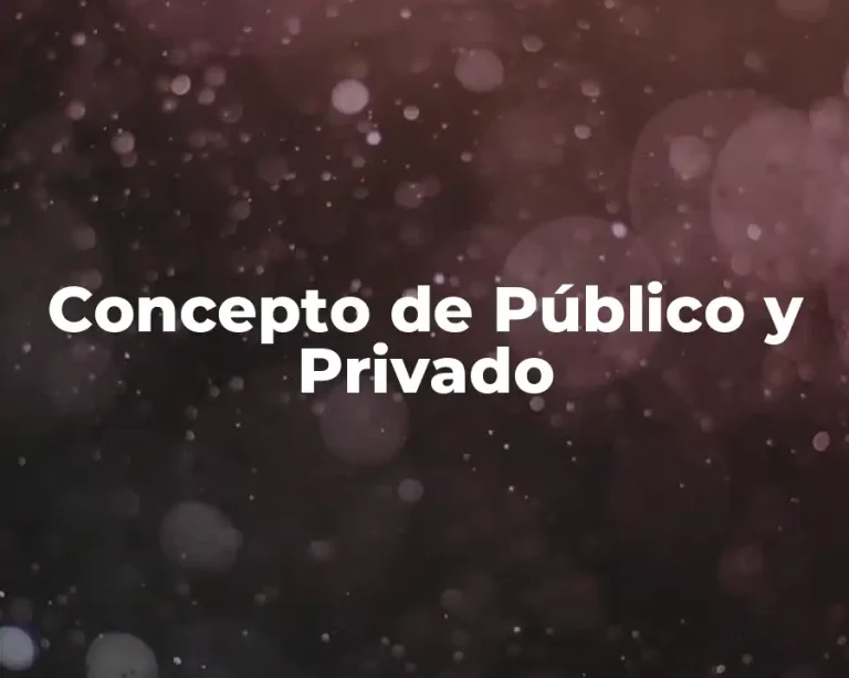 Concepto de Público y Privado
