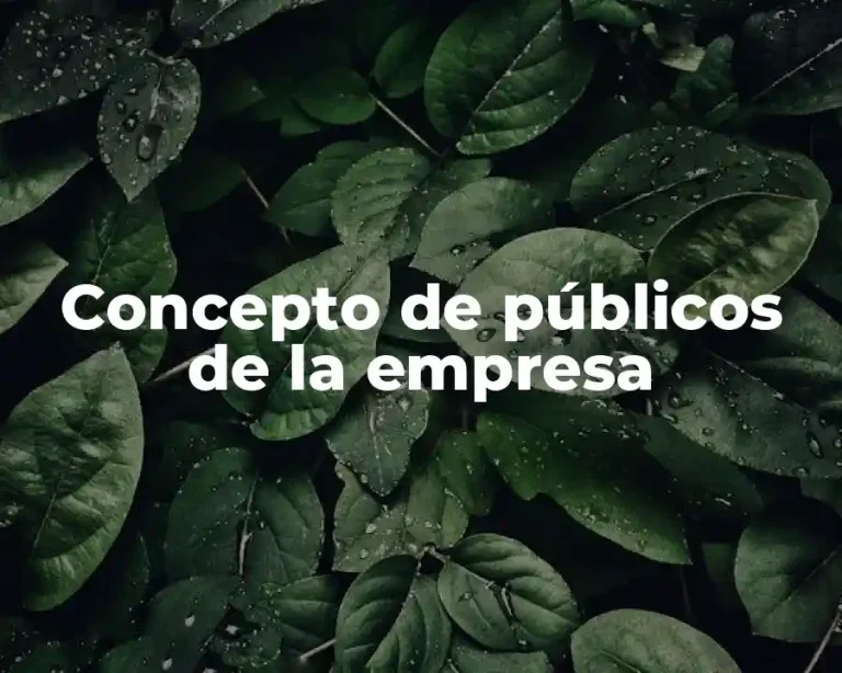 Concepto de públicos de la empresa