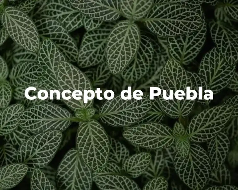 Concepto de Puebla