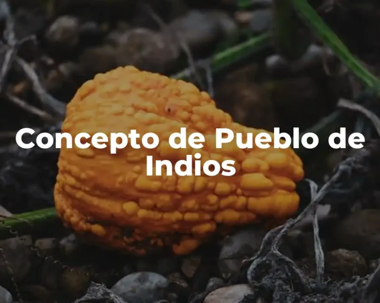 Concepto de Pueblo de Indios