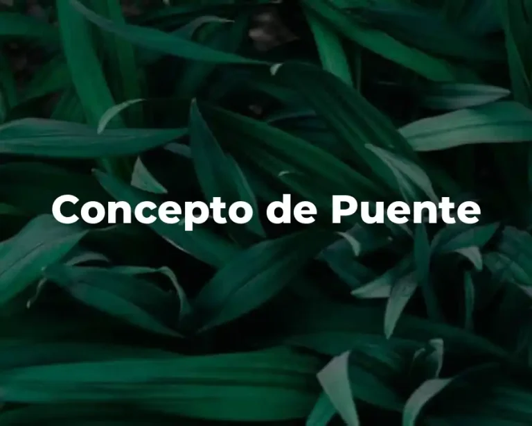 Concepto de Puente